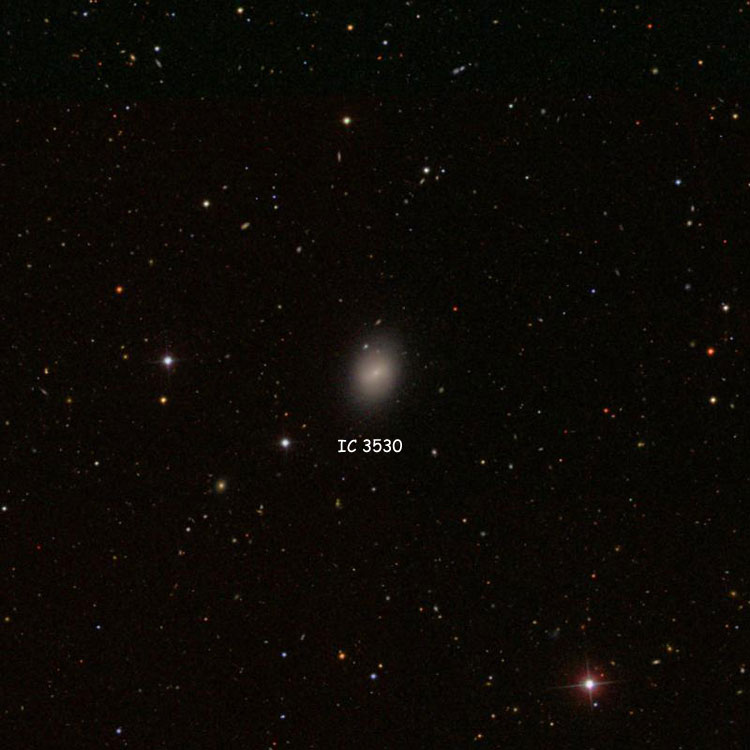 SDSS image of region near elliptical galaxy IC 3530