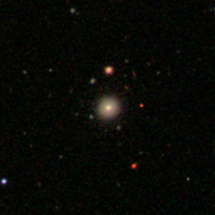 SDSS image of compact galaxy IC 3531