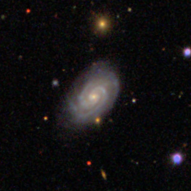 SDSS image of spiral galaxy IC 3546