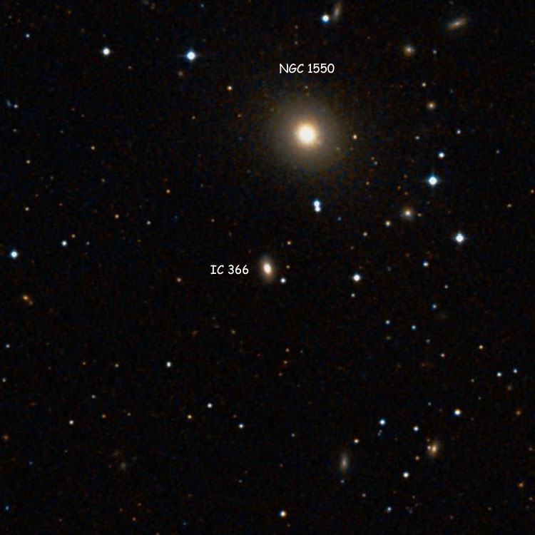 DSS image of region near elliptical galaxy IC 366, also showing lenticular galaxy NGC 1550