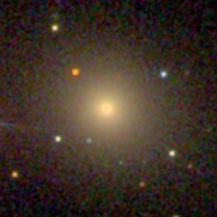 SDSS image of lenticular galaxy IC 383