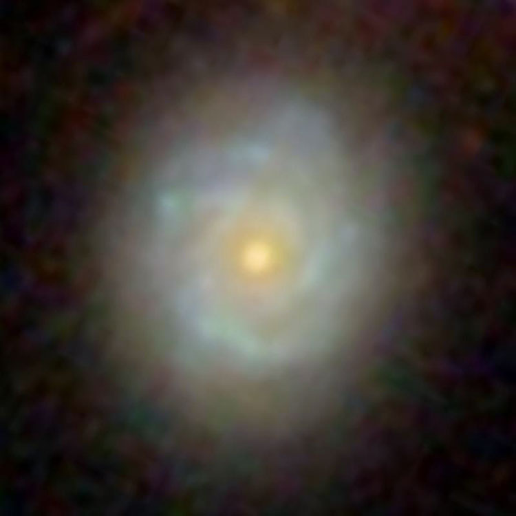 SDSS image of spiral galaxy IC 384