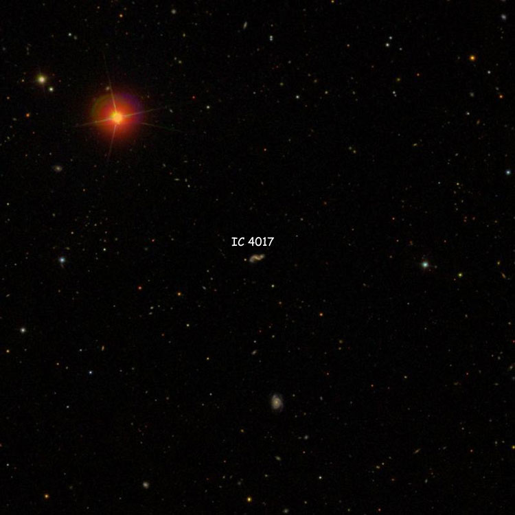 SDSS image of region near spiral galaxy IC 4017