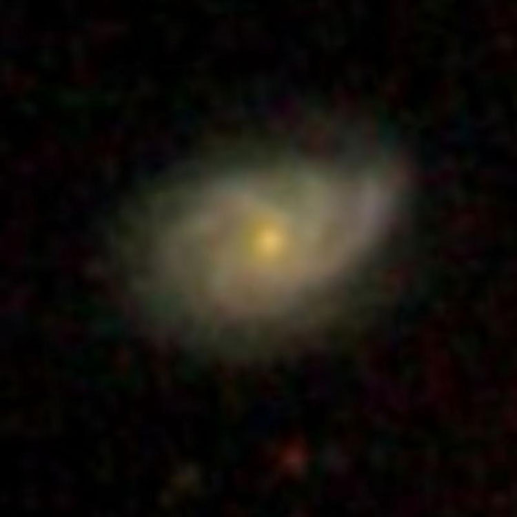 SDSS image of spiral galaxy IC 4037
