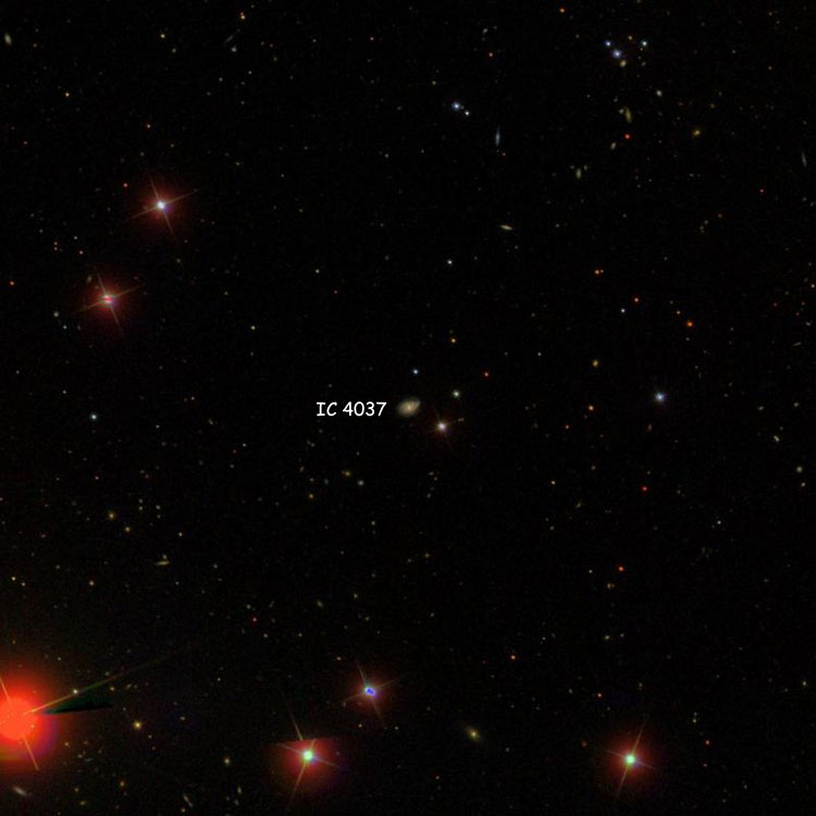 SDSS image of region near spiral galaxy IC 4037