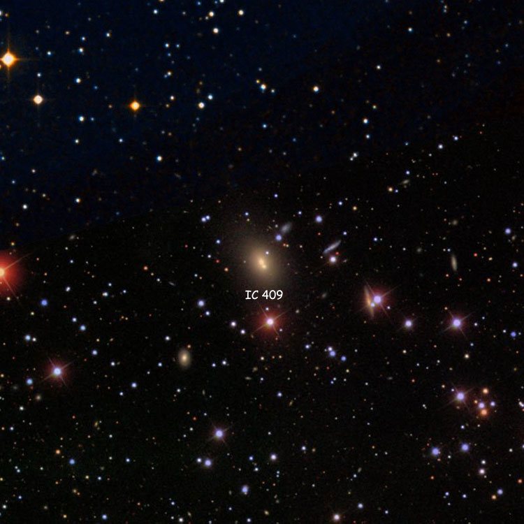 SDSS image of region near the apparently binuclear galaxy listed as IC 409, superimposed on a DSS background to fill in missing areas
