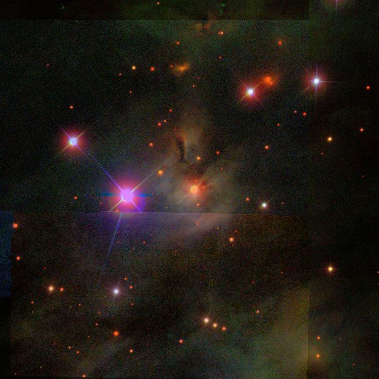 SDSS image of region near reflection and emission nebula IC 428