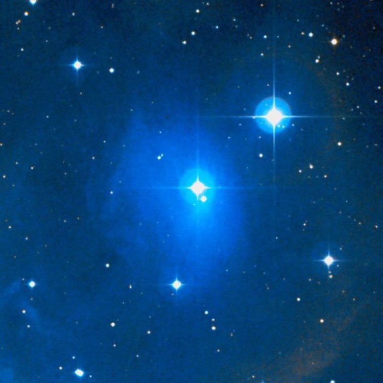 DSS image of region near reflection nebula IC 431