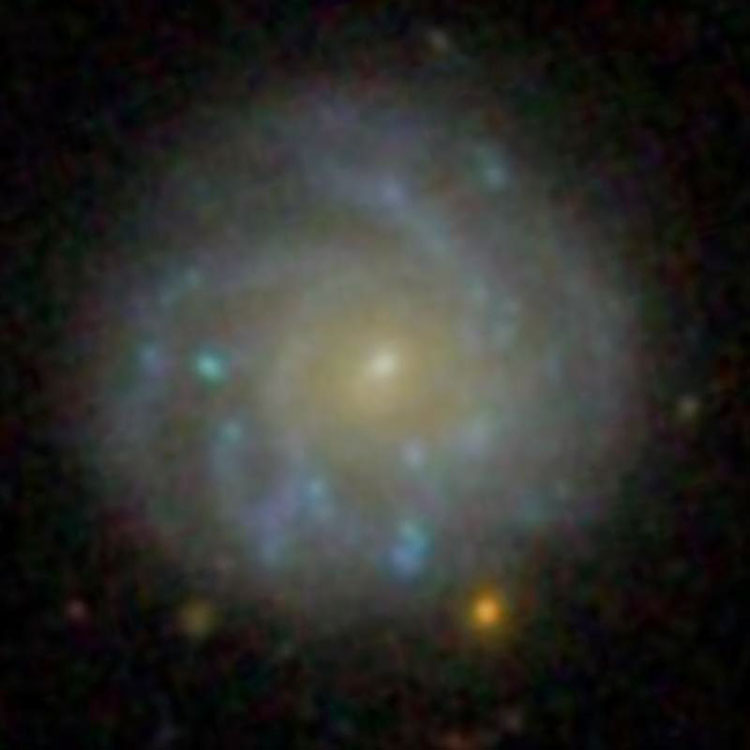 SDSS image of spiral galaxy IC 4341