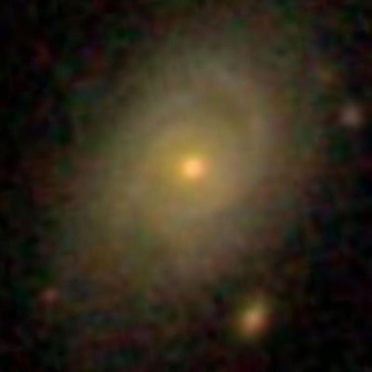 SDSS image of spiral galaxy IC 4419