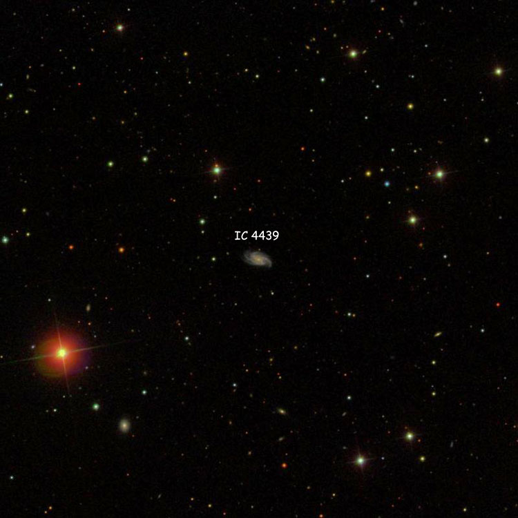 SDSS image of region near spiral galaxy IC 4439
