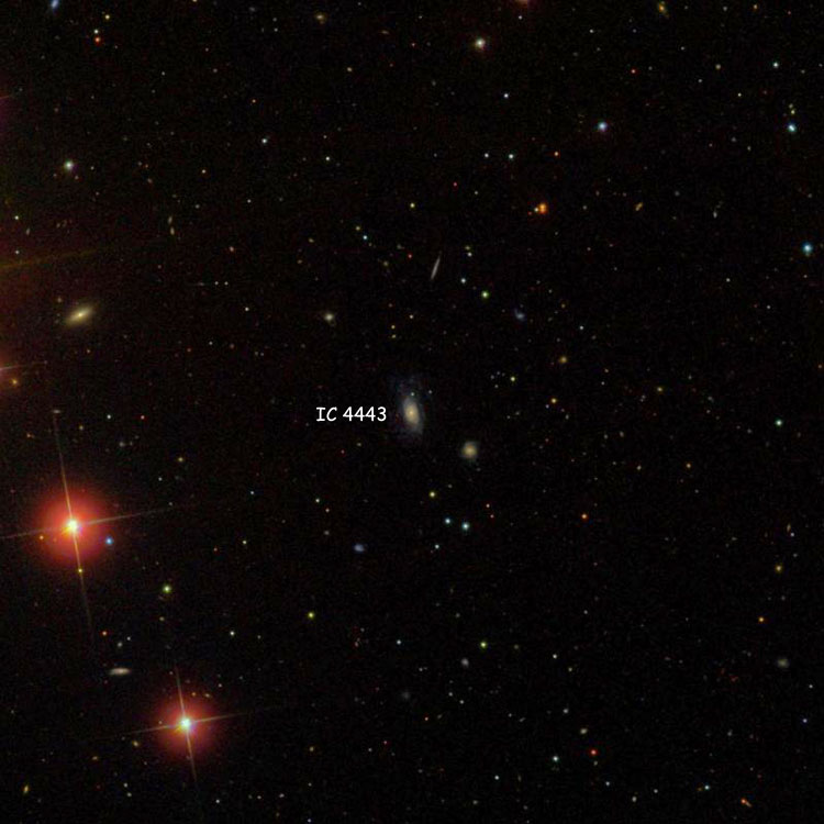SDSS image of region near spiral galaxy IC 4443