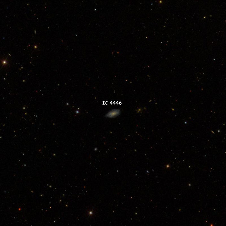 SDSS image of region near spiral galaxy IC 4446