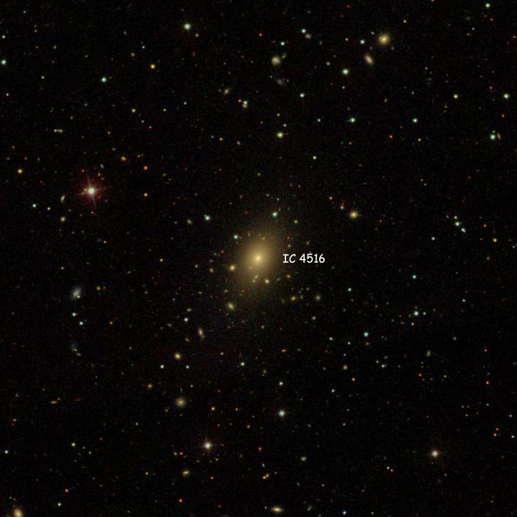 SDSS image of region near elliptical galaxy IC 4516