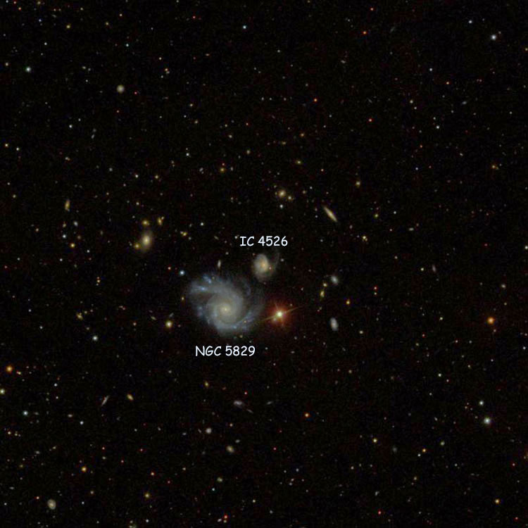 SDSS image of region near spiral galaxy IC 4526, also showing NGC 5829, with which it comprises Arp 42; also shown are various members of Hickson Compact Group 73