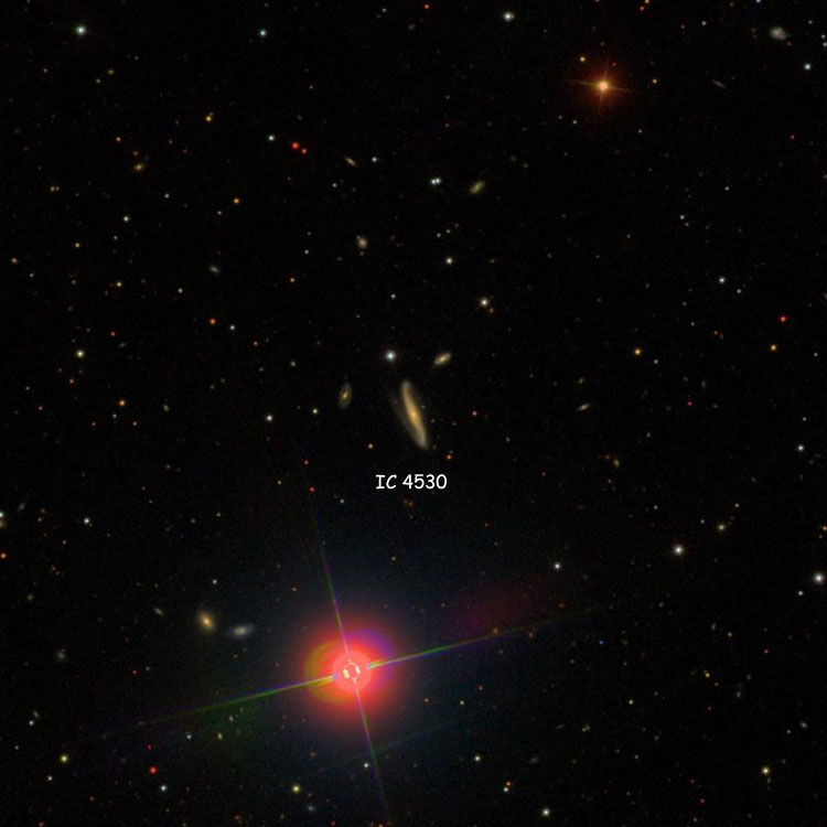 SDSS image of region near peculiar spiral galaxy IC 4530