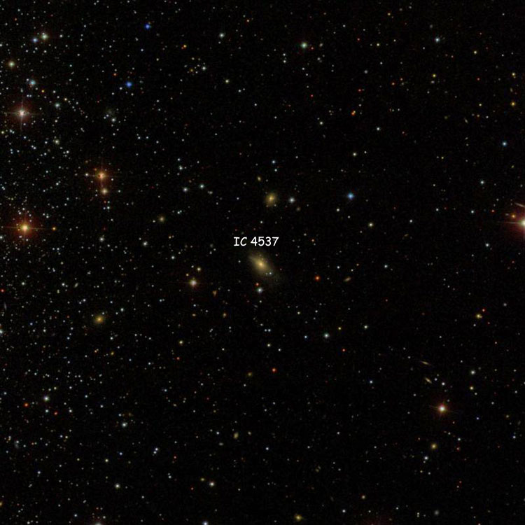 SDSS image of region near lenticular galaxy IC 4537