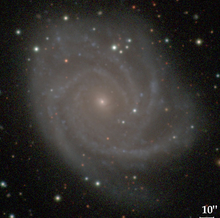 Carnegie-Irvine Galaxy Survey image of spiral galaxy IC 4538