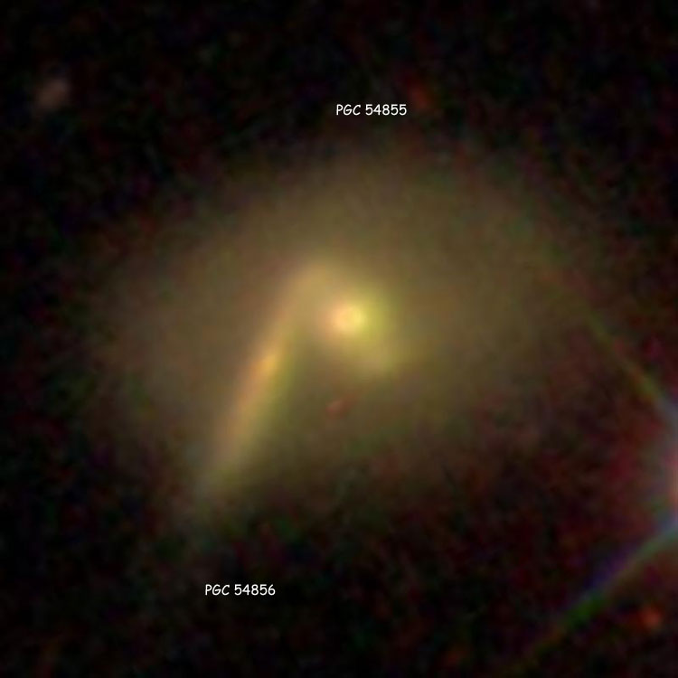 SDSS image of lenticular galaxy PGC 54855 and spiral galaxy PGC 54856, which comprise IC 4542