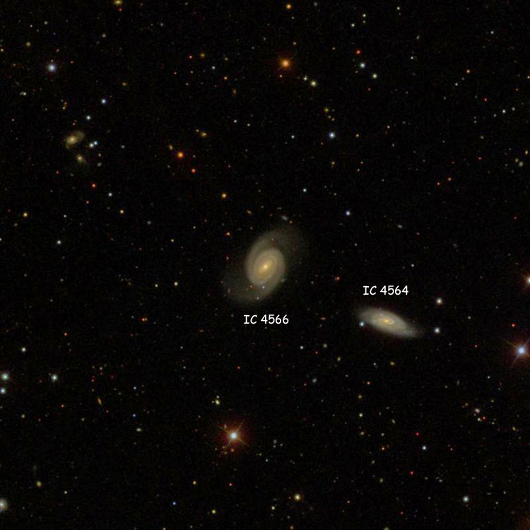 SDSS image of spiral galaxy IC 4566, also showing IC 4564
