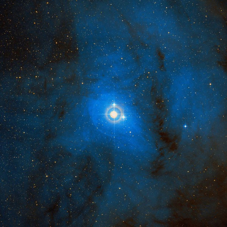 DSS image of region near Rho Ophiuchi, showing its associated reflection nebula, or IC 4604