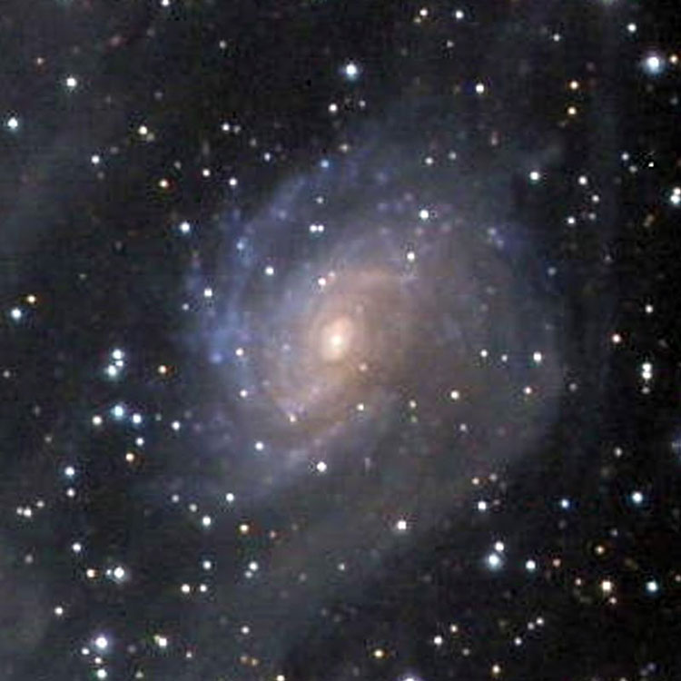 Wikisky cutout of image submitted by Jim Riffle of spiral galaxy IC 4633