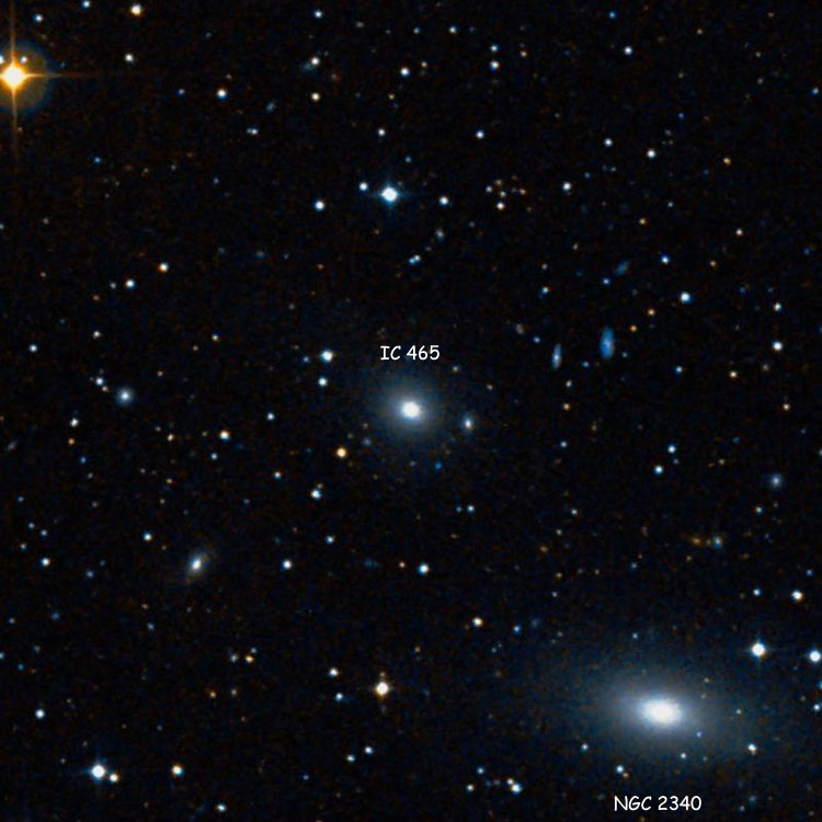 DSS image of region near lenticular galaxy IC 465, also showing elliptical galaxy NGC 2340