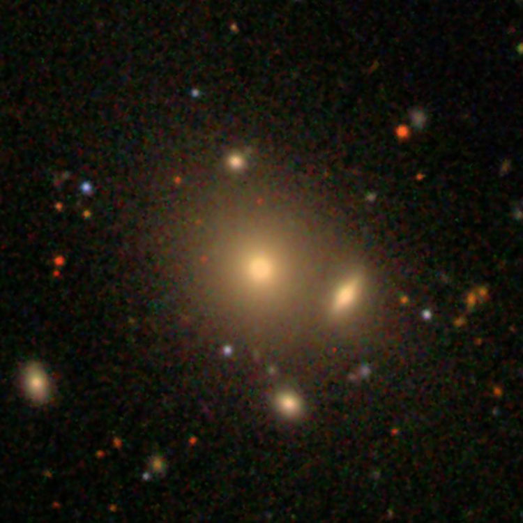 SDSS image of elliptical galaxy IC 477