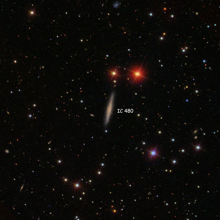 SDSS image of region near spiral galaxy IC 480