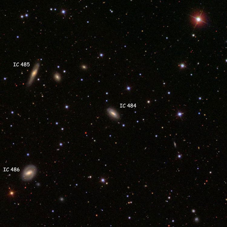 SDSS image of region near spiral galaxy IC 484, also showing spiral galaxies IC 485 and 486