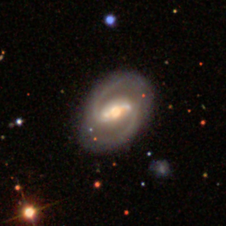 SDSS image of spiral galaxy IC 486