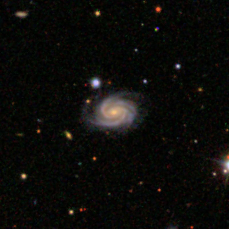 SDSS image of spiral galaxy IC 490