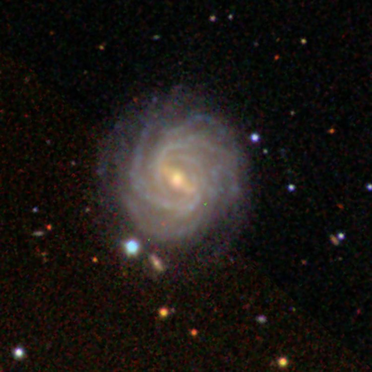 SDSS image of spiral galaxy IC 492
