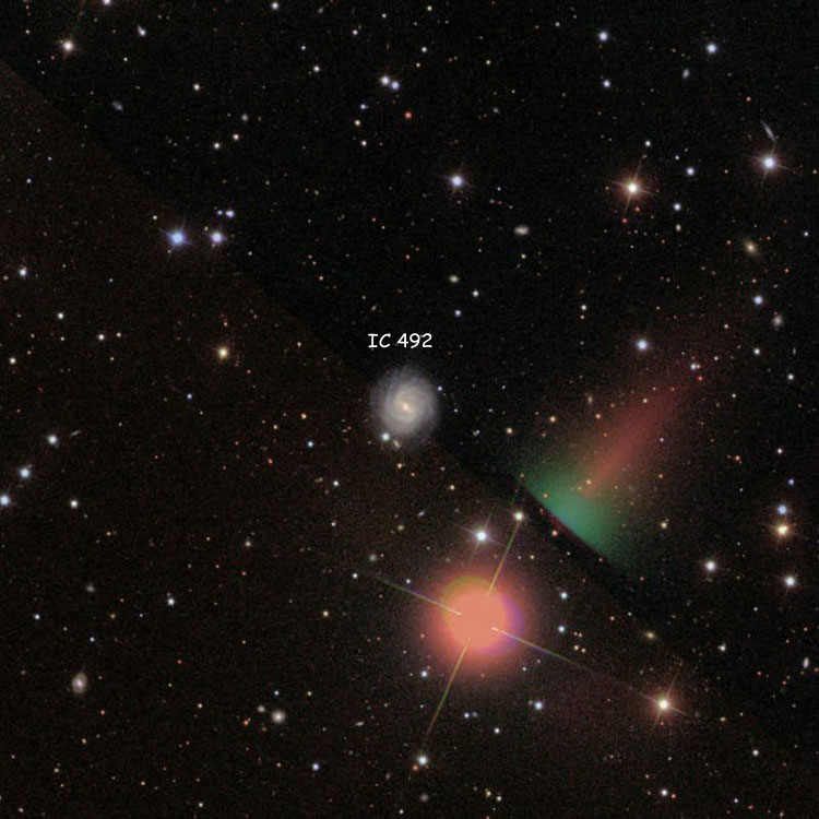 SDSS image of region near spiral galaxy IC 492
