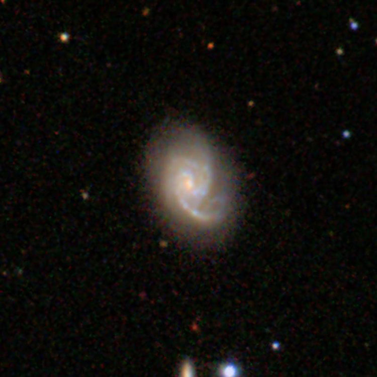 SDSS image of spiral galaxy IC 493