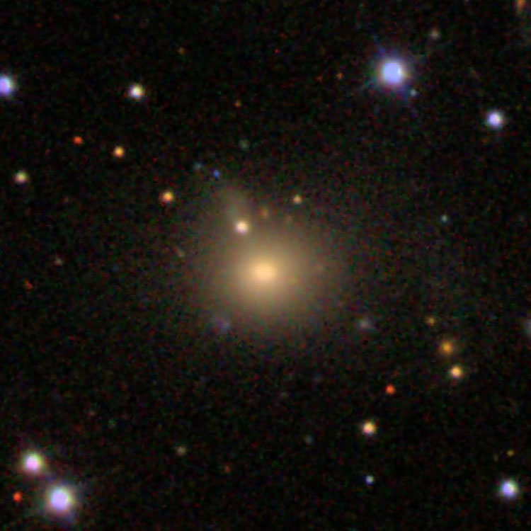 SDSS image of elliptical galaxy IC 495