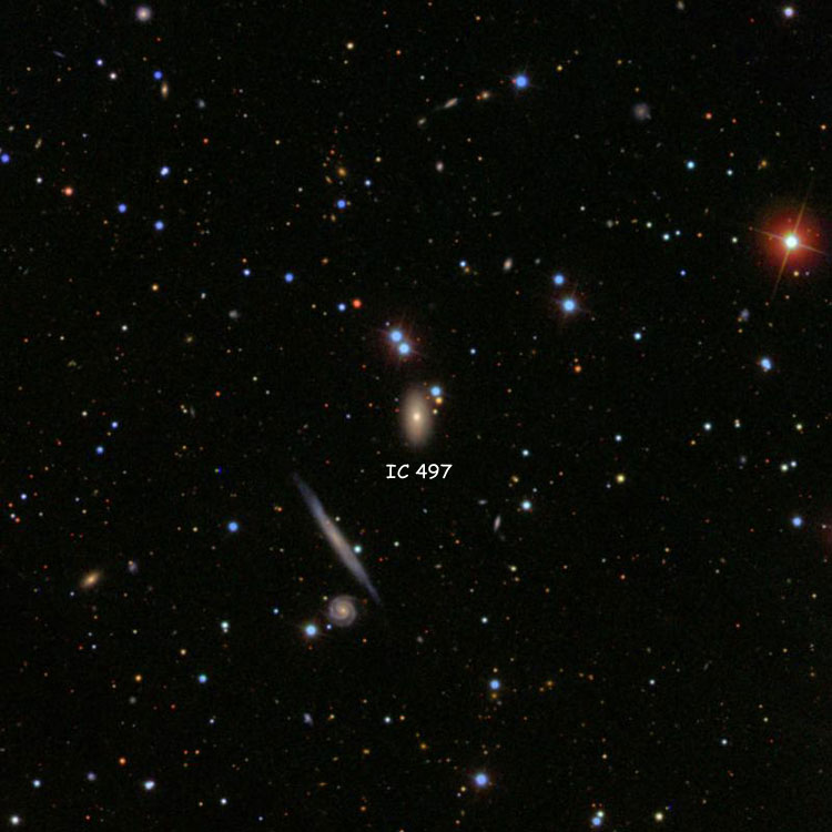 SDSS image of region near lenticular galaxy IC 497