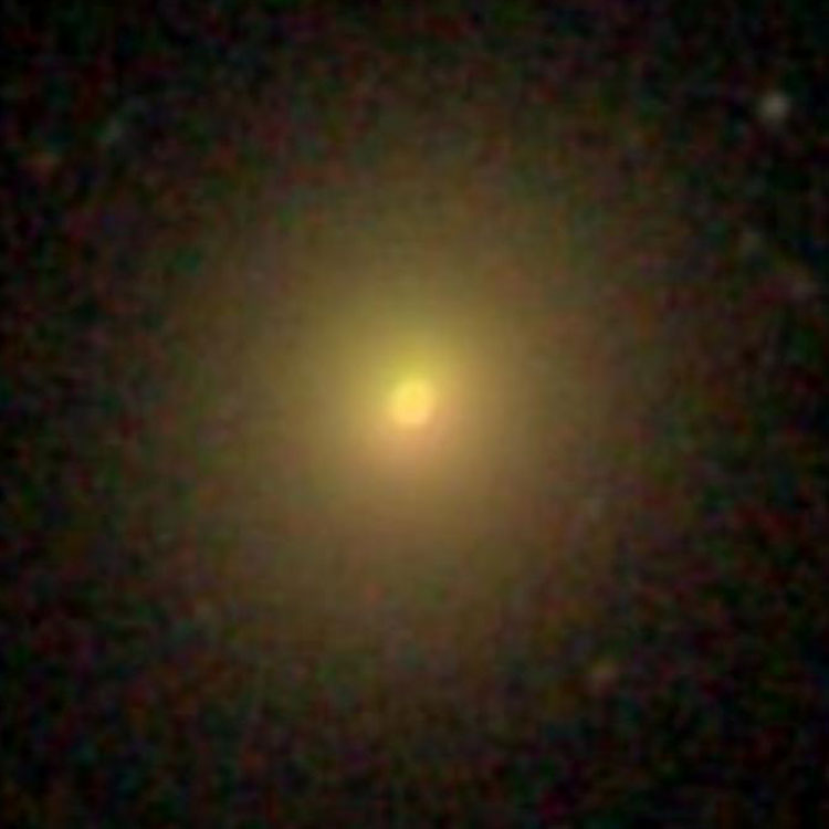 SDSS image of elliptical galaxy IC 50
