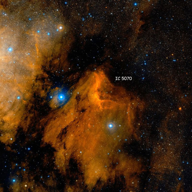 DSS image of region near emission nebula IC 5070, also known as the Pelican Nebula