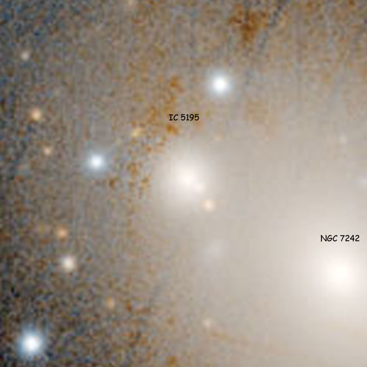 PanSTARRS image of elliptical galaxy IC 5195, also showing the nucleus of NGC 7242