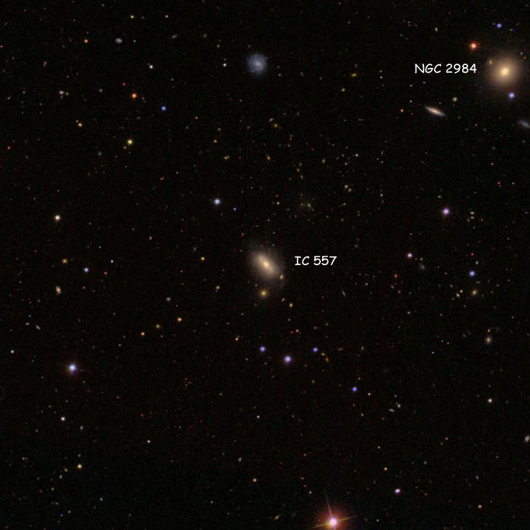 SDSS image of region near spiral galaxy IC 557, also showing lenticular galaxy NGC 2984