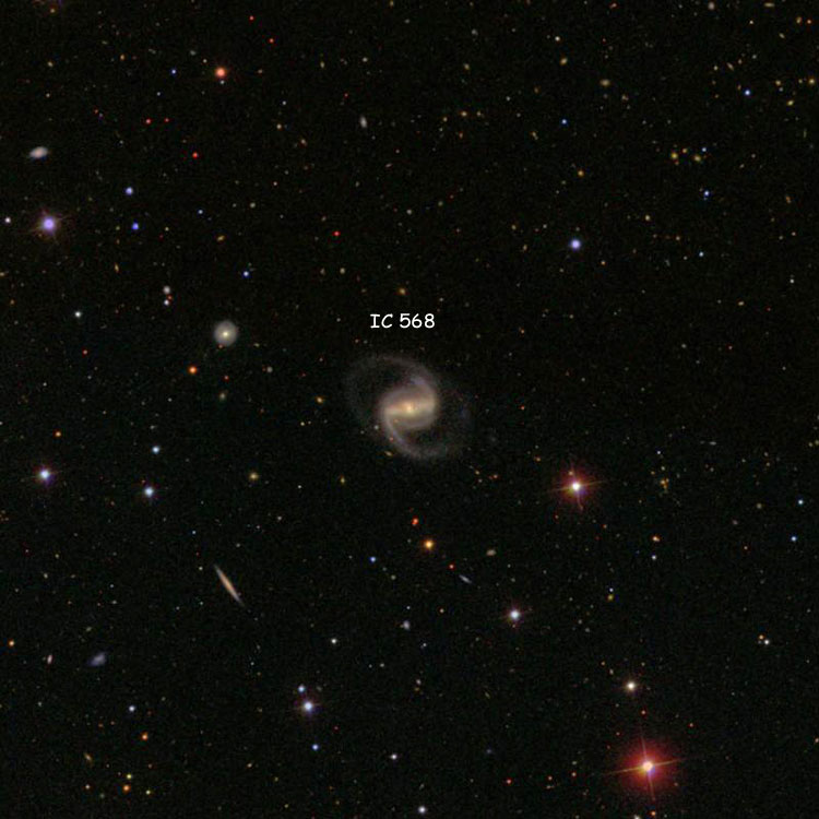 SDSS image of region near spiral galaxy IC 568