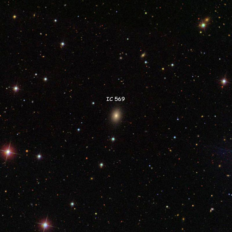 SDSS image of region near lenticular galaxy IC 569