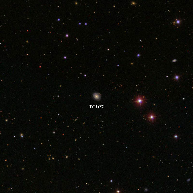 SDSS image of region near spiral galaxy IC 570