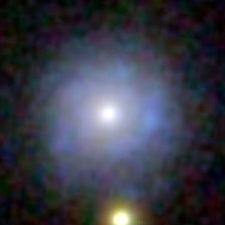 SDSS image of spiral galaxy IC 584
