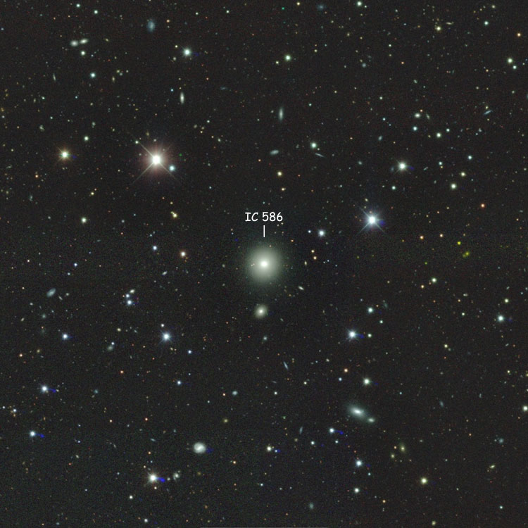DSS image of region near lenticular galaxy IC 586