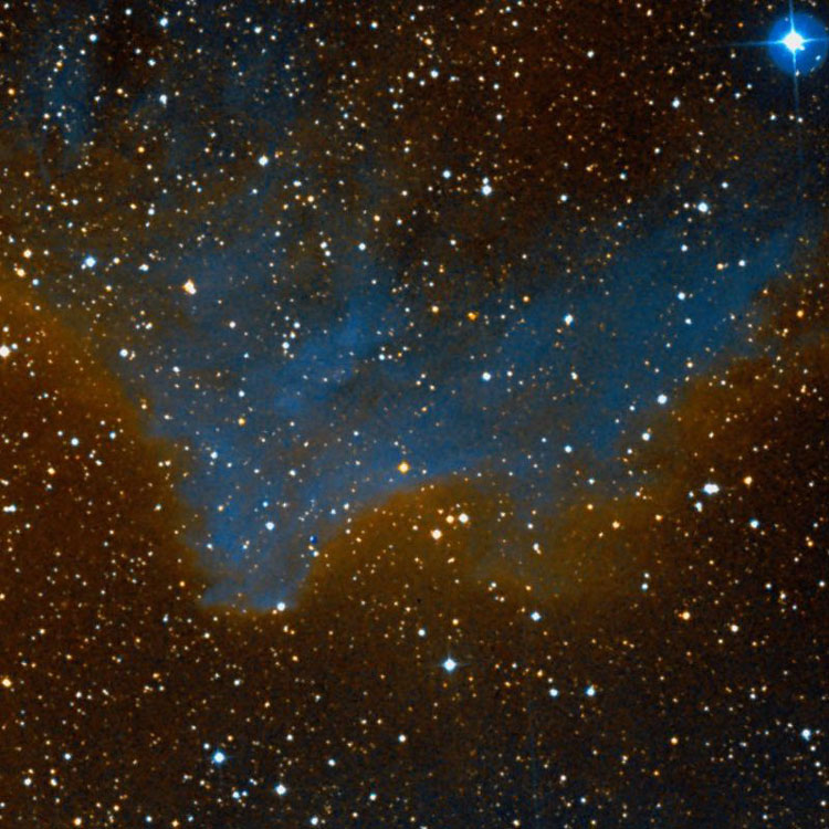 DSS image of of reflection nebula IC 59