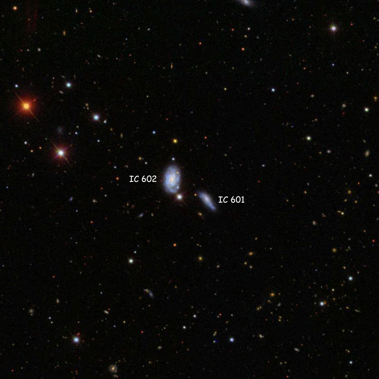 SDSS image of region near spiral galaxies IC 601 and 602