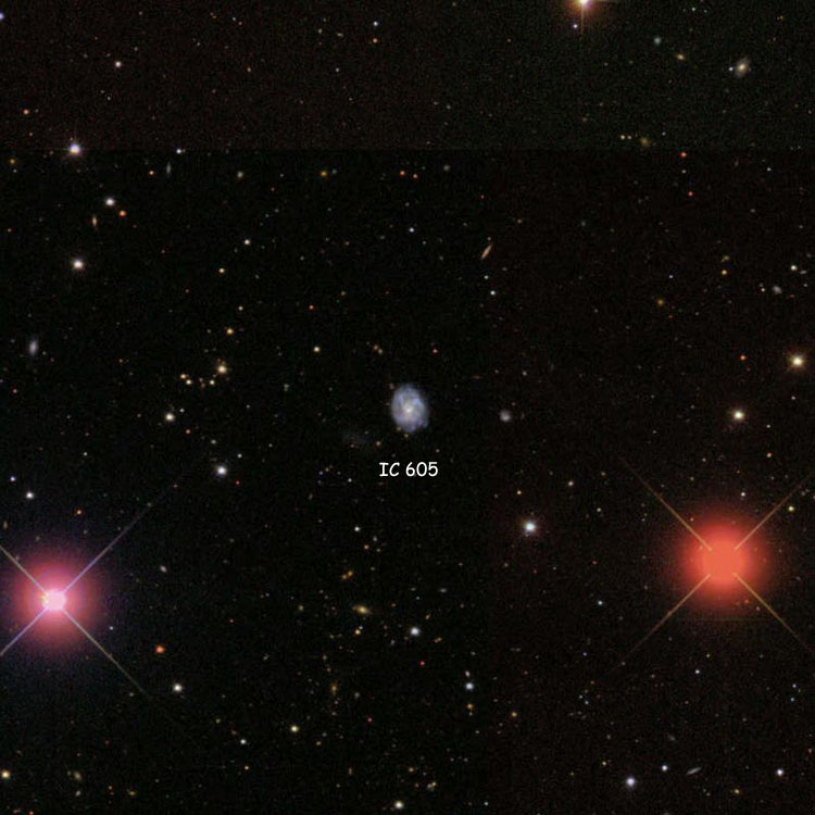 SDSS image of region near spiral galaxy IC 605