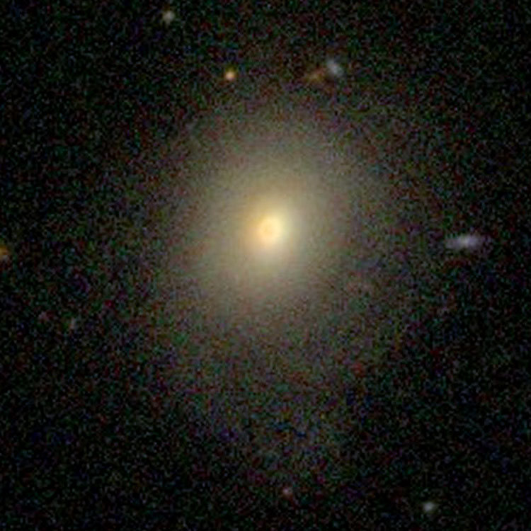 SDSS image of lenticular galaxy IC 61
